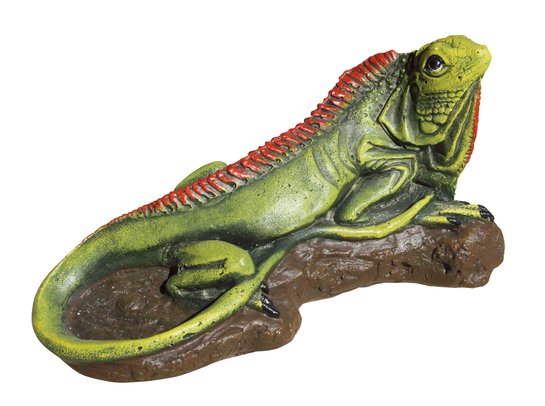 statue en pierre Iguane en couleur